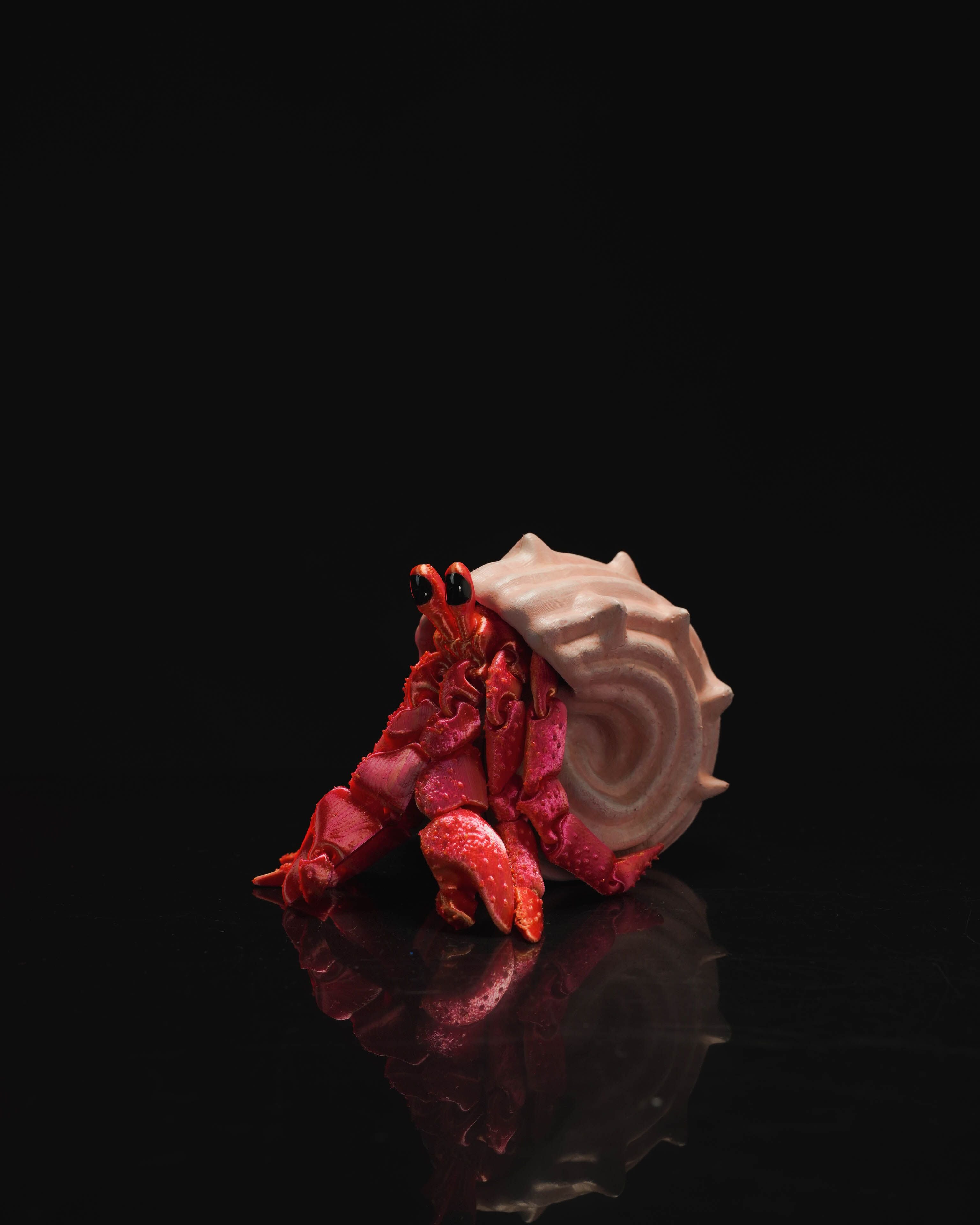 Hermes the Hermit Crab – Articulated 3D Printed Display Figure