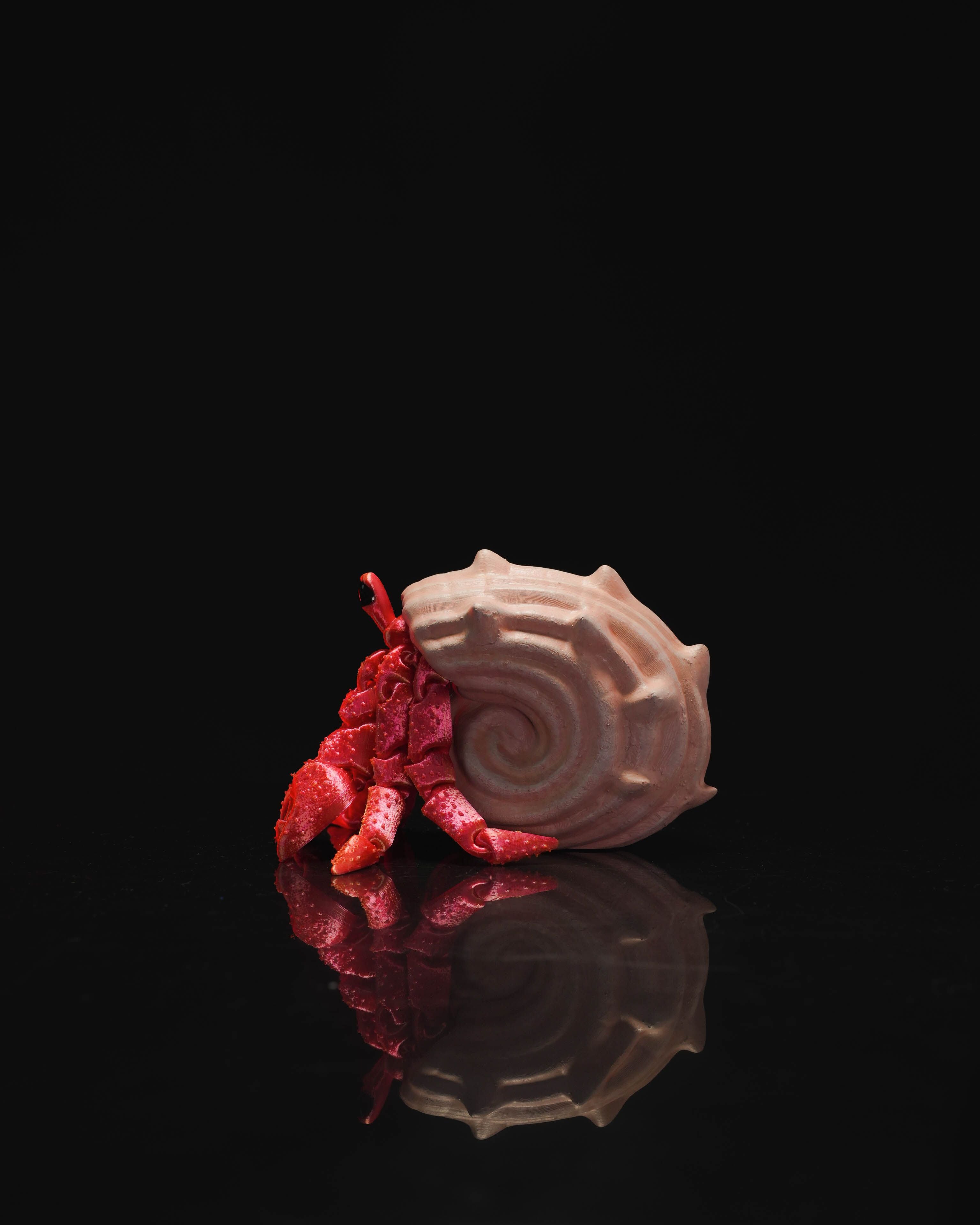 Hermes the Hermit Crab – Articulated 3D Printed Display Figure