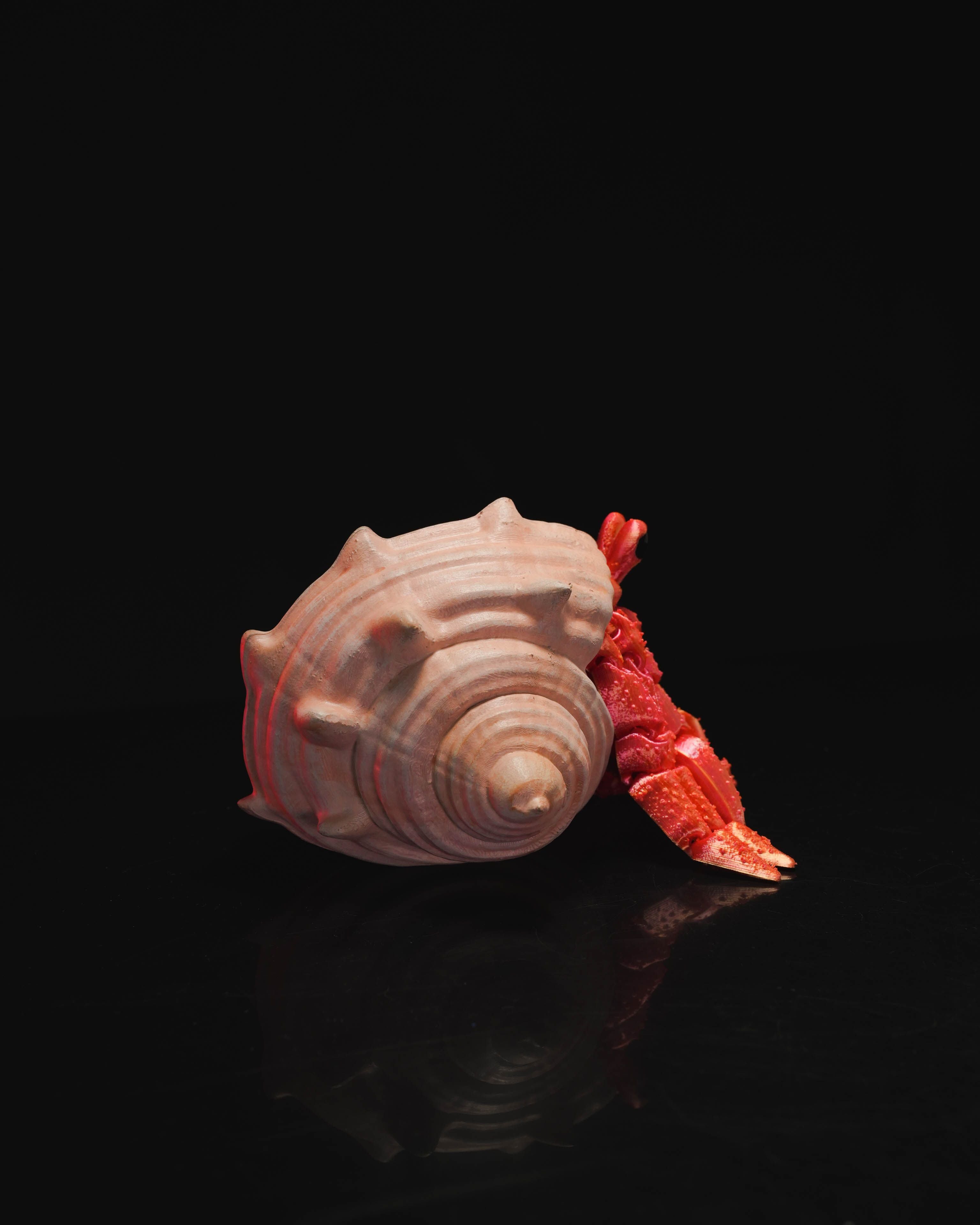 Hermes the Hermit Crab – Articulated 3D Printed Display Figure