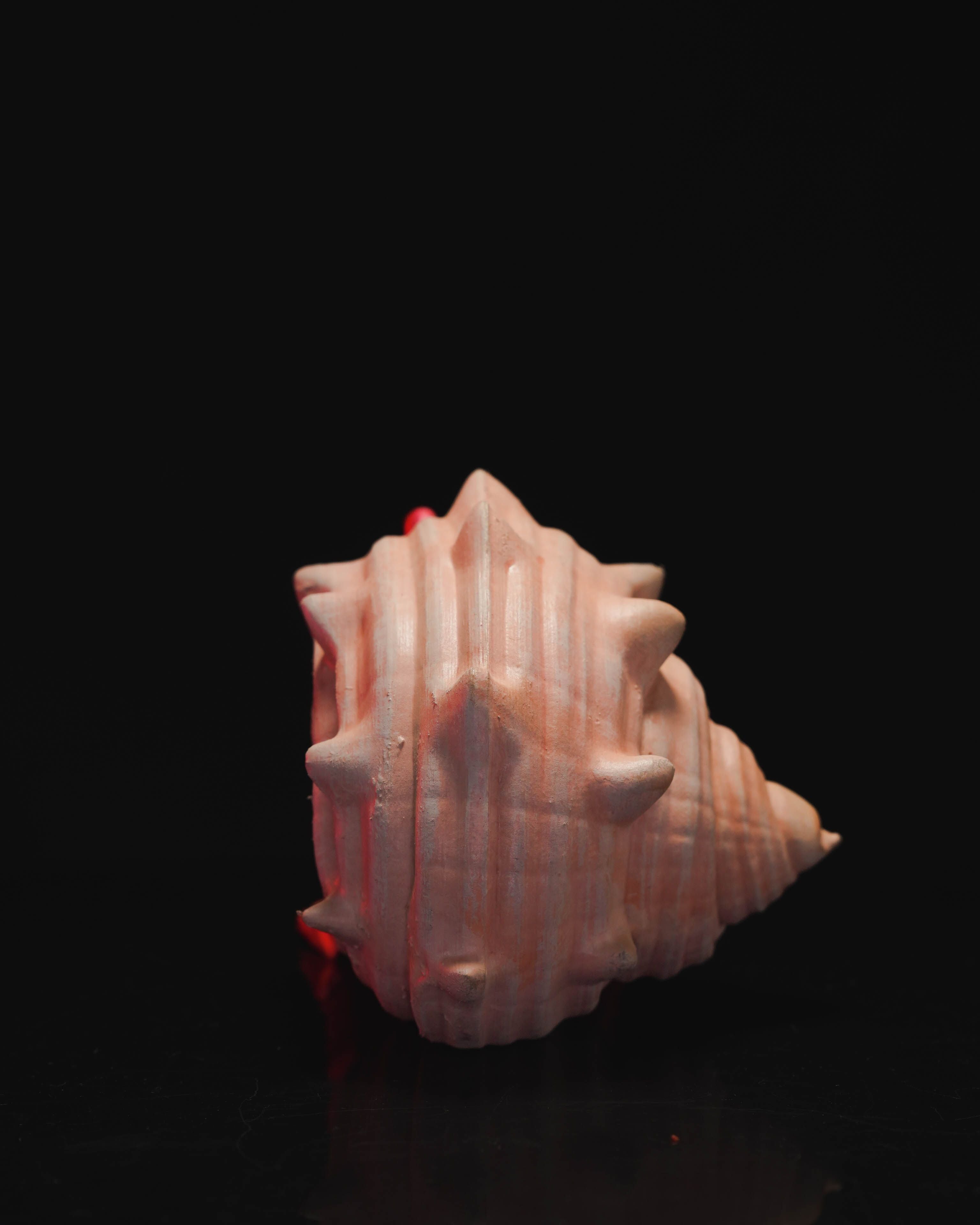 Hermes the Hermit Crab – Articulated 3D Printed Display Figure