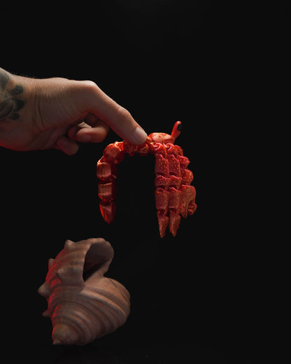 Hermes the Hermit Crab – Articulated 3D Printed Display Figure