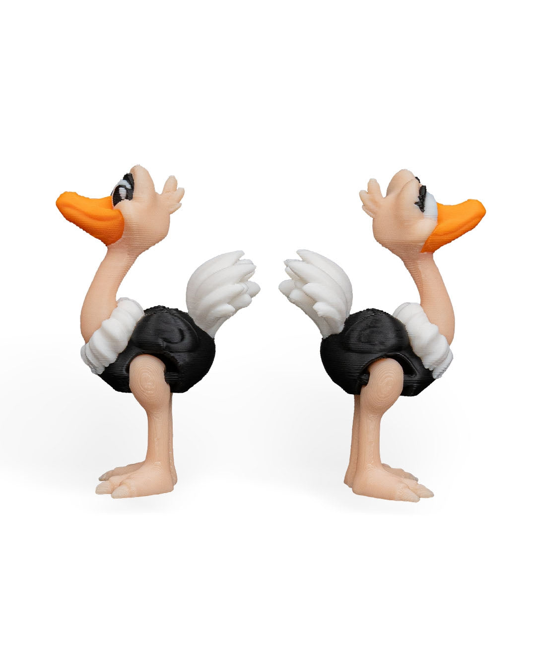 Pair of Ostriches – 3D Printed Display Figures