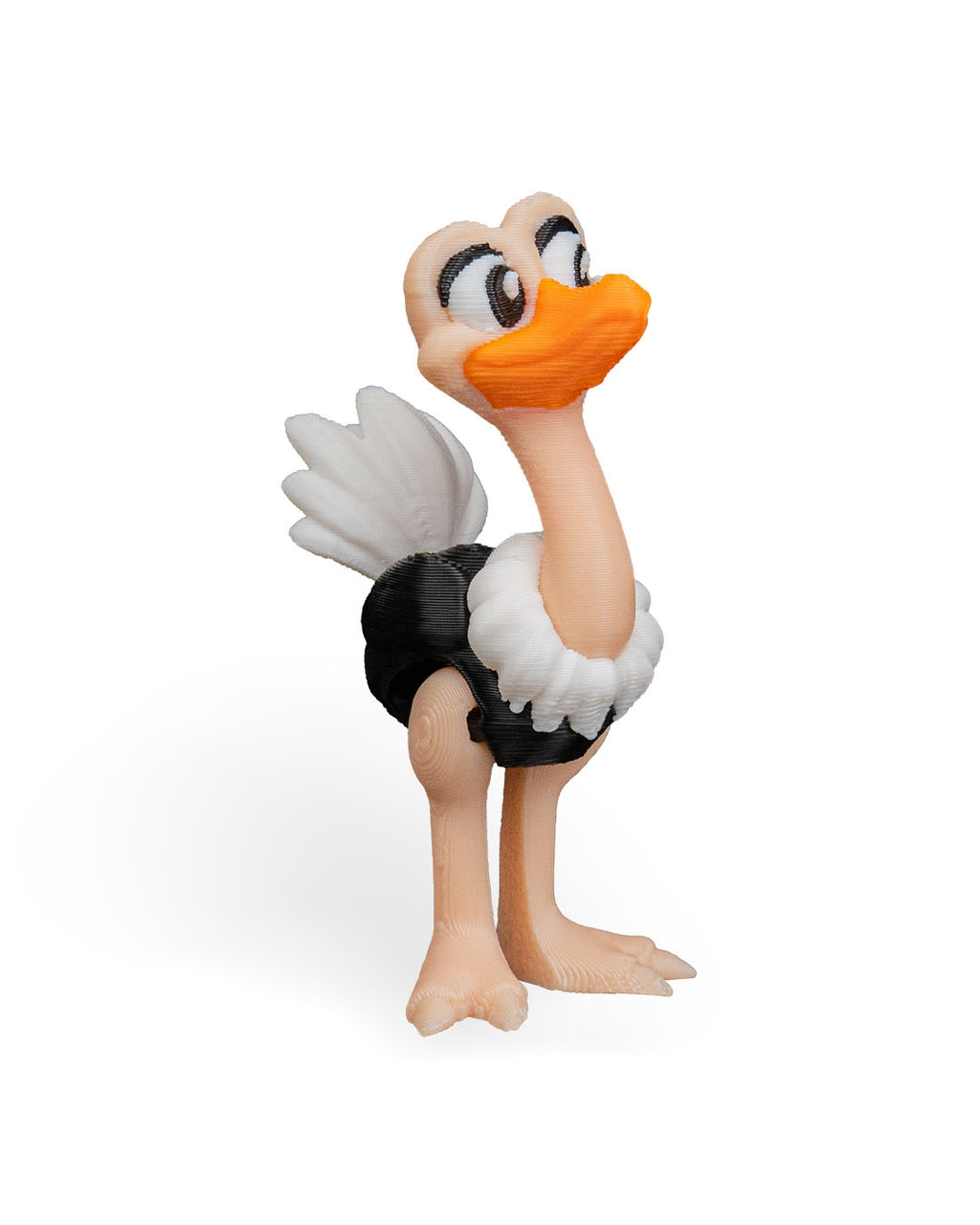 Pair of Ostriches – 3D Printed Display Figures