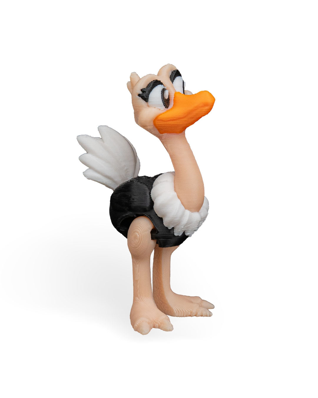 Pair of Ostriches – 3D Printed Display Figures