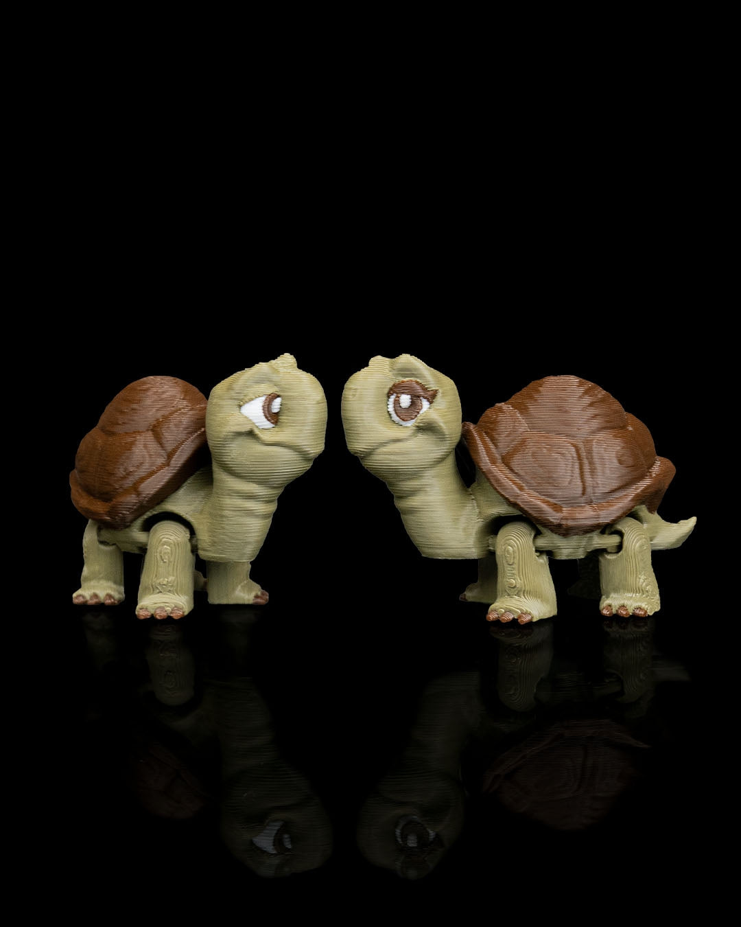 Pair of Tortoises – 3D Printed Display Figures