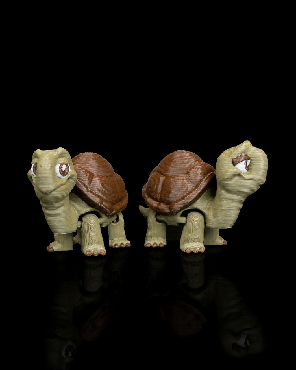 Pair of Tortoises – 3D Printed Display Figures