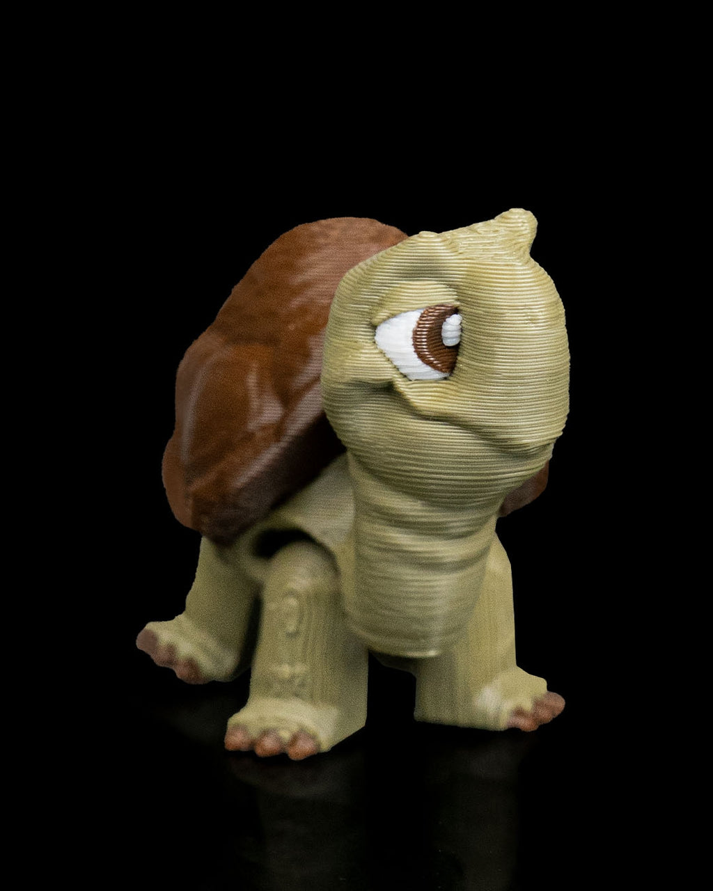 Pair of Tortoises – 3D Printed Display Figures
