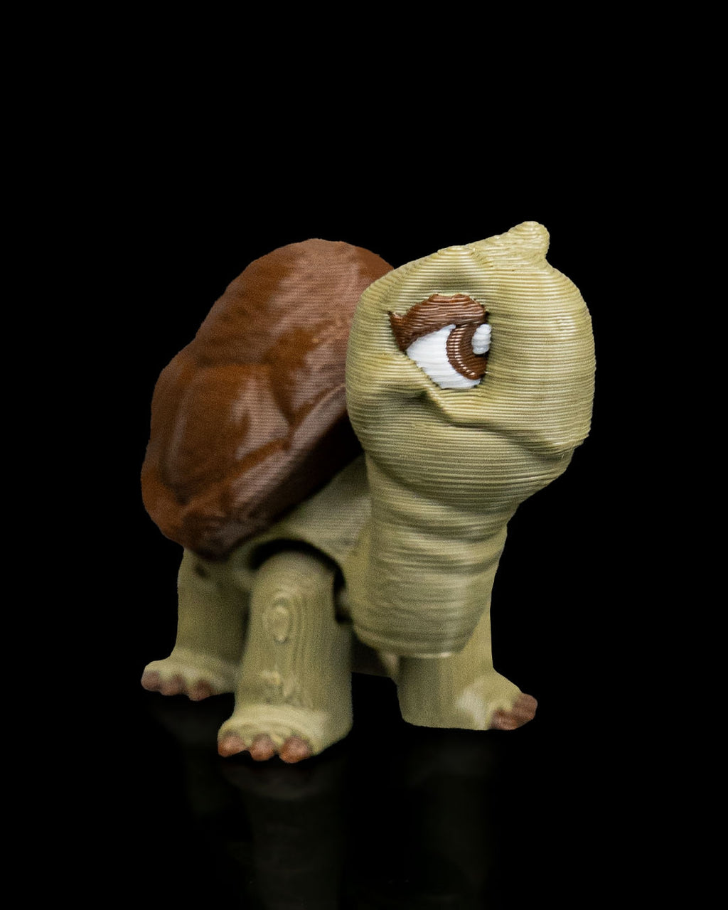 Pair of Tortoises – 3D Printed Display Figures