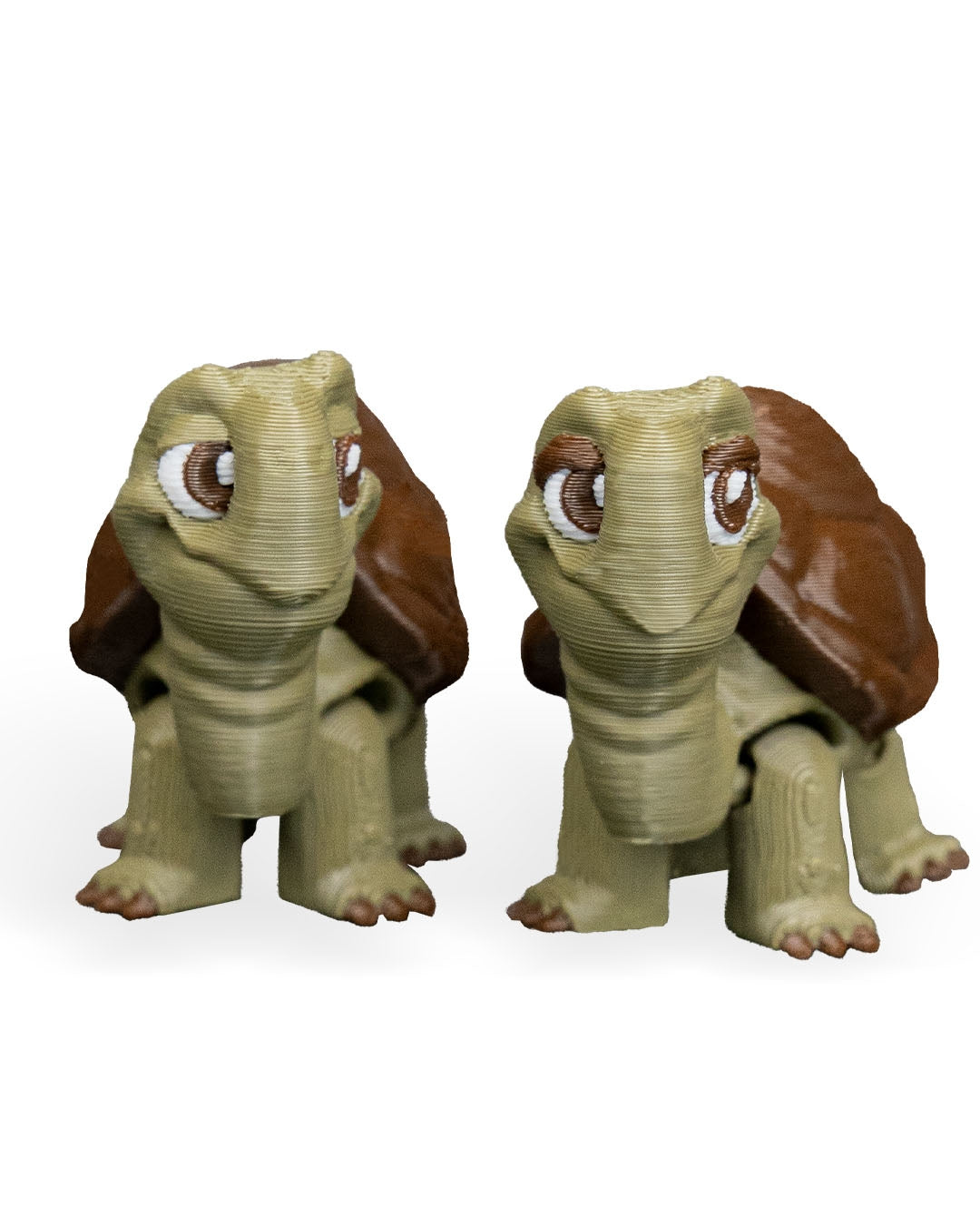 Pair of Tortoises – 3D Printed Display Figures
