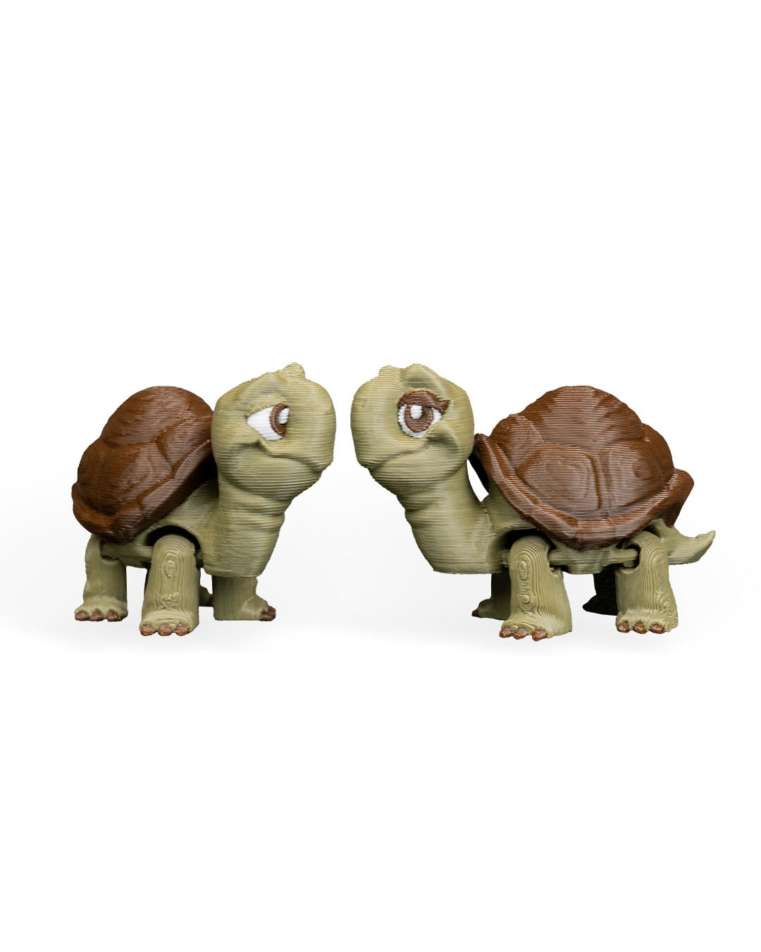 Pair of Tortoises – 3D Printed Display Figures