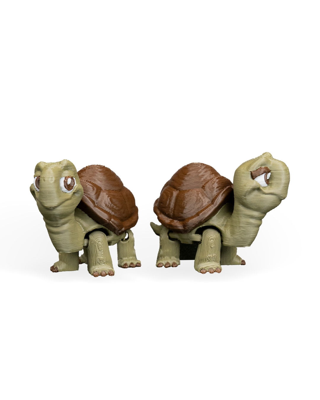 Pair of Tortoises – 3D Printed Display Figures