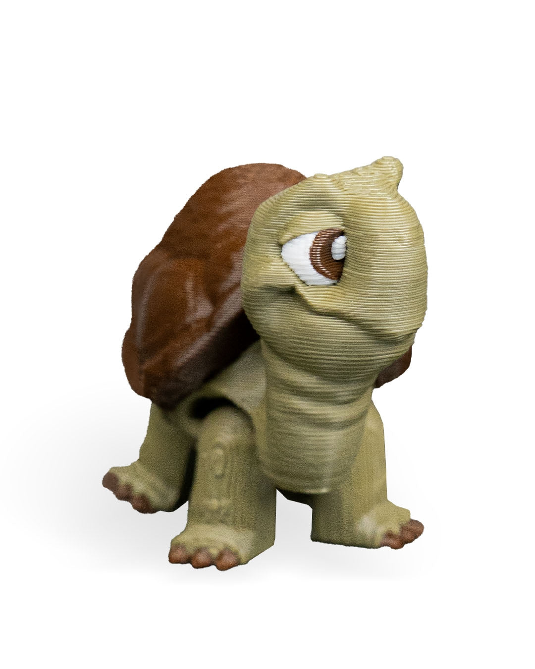 Pair of Tortoises – 3D Printed Display Figures