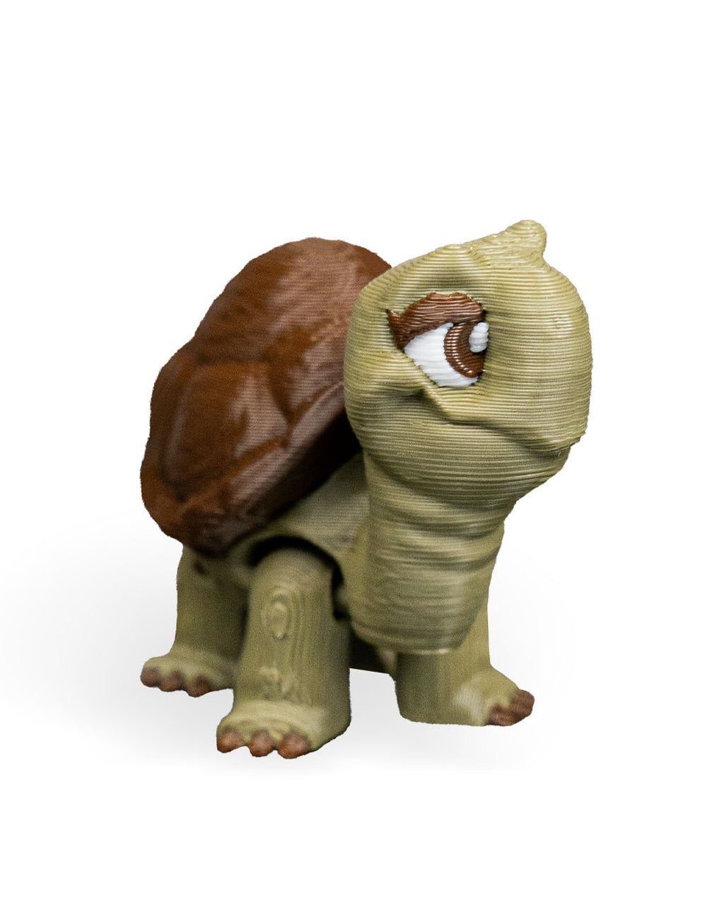 Pair of Tortoises – 3D Printed Display Figures
