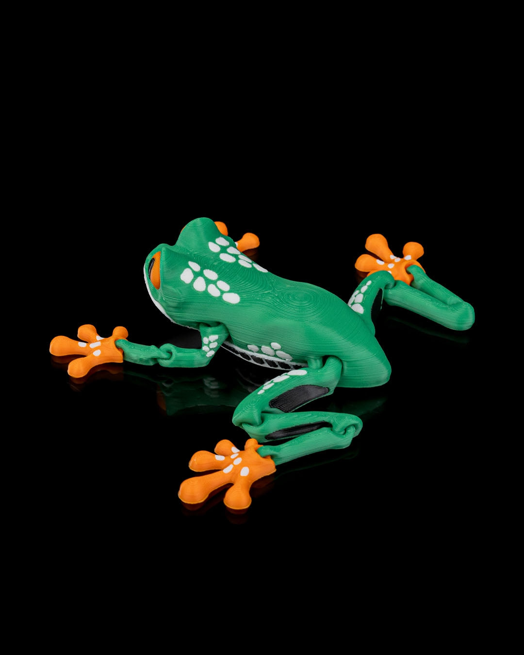 Reed the Red-Eyed Tree Frog – Articulated 3D Printed Display Figure