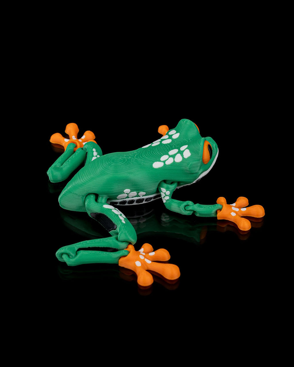 Reed the Red-Eyed Tree Frog – Articulated 3D Printed Display Figure