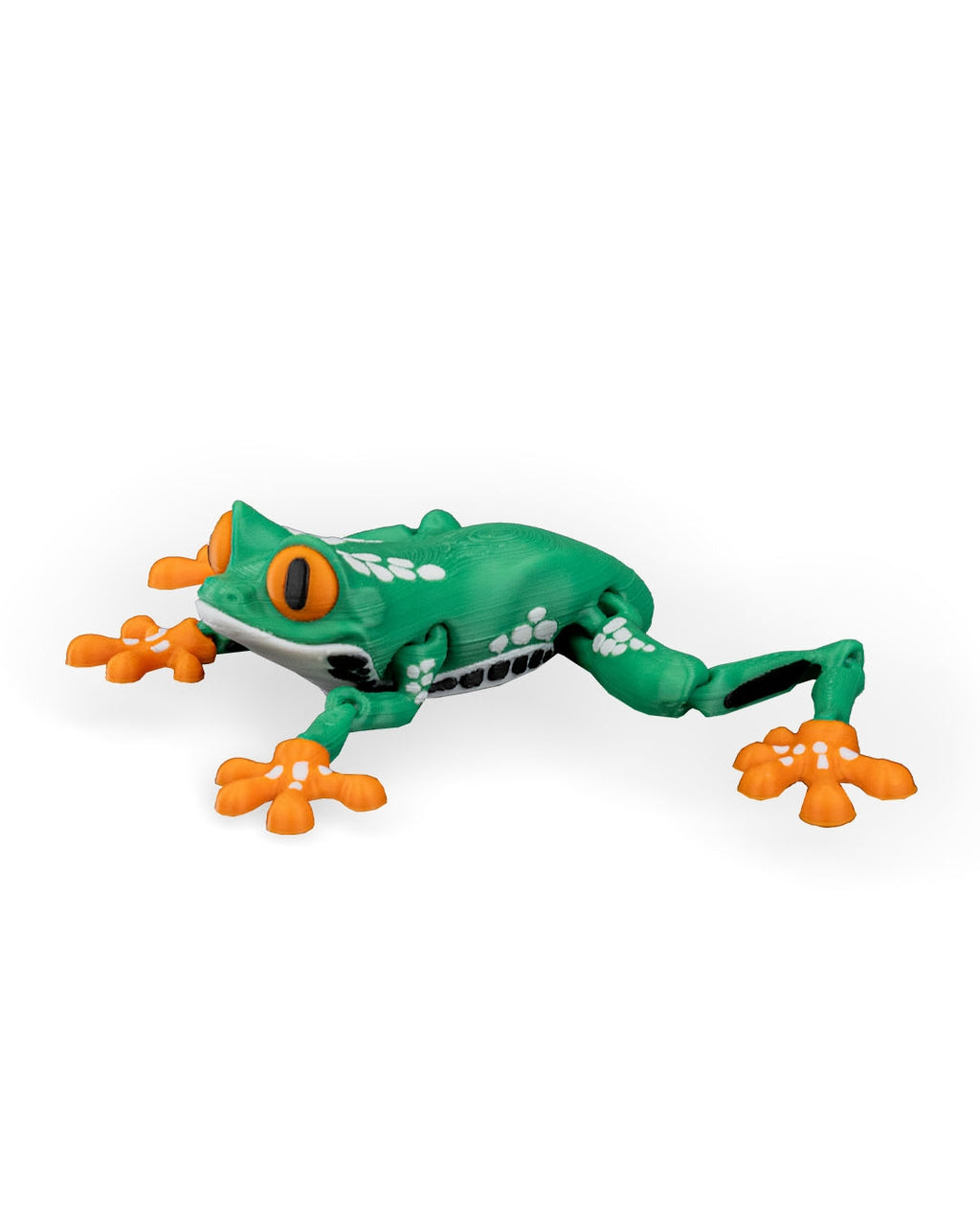 Reed the Red-Eyed Tree Frog – Articulated 3D Printed Display Figure