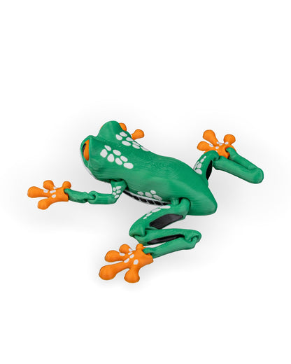 Reed the Red-Eyed Tree Frog – Articulated 3D Printed Display Figure