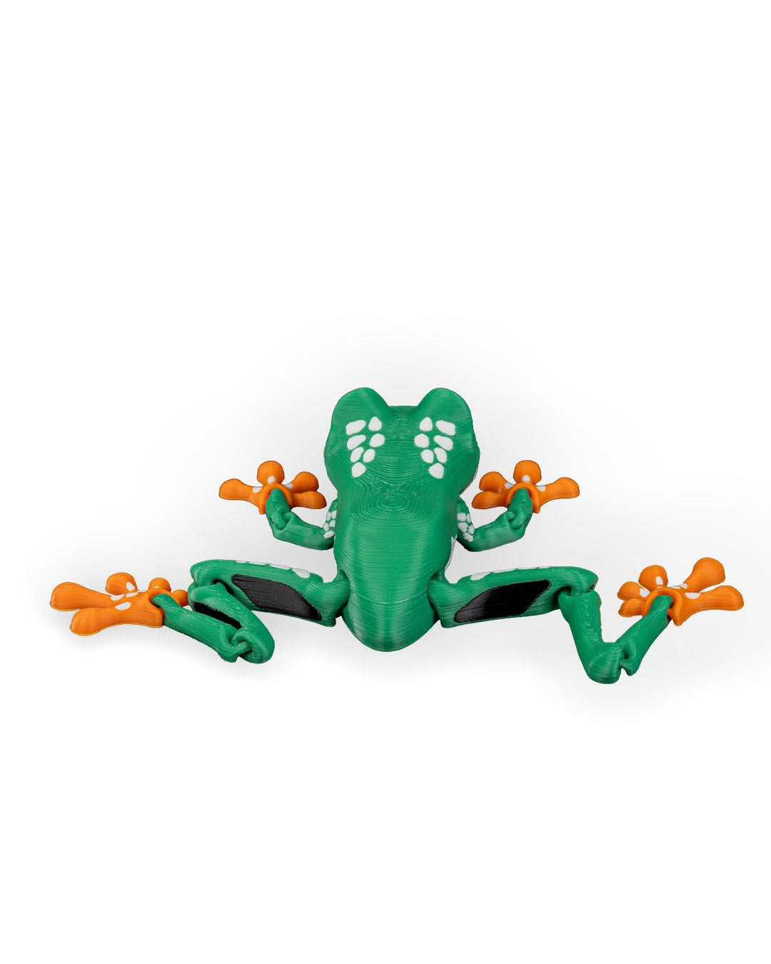 Reed the Red-Eyed Tree Frog – Articulated 3D Printed Display Figure