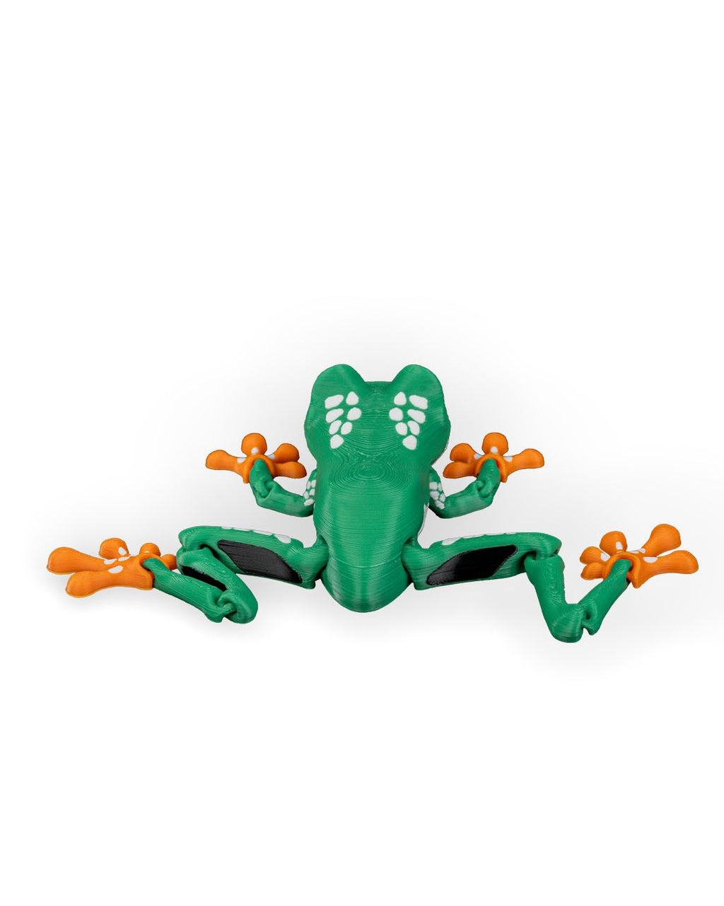 Reed the Red-Eyed Tree Frog – Articulated 3D Printed Display Figure