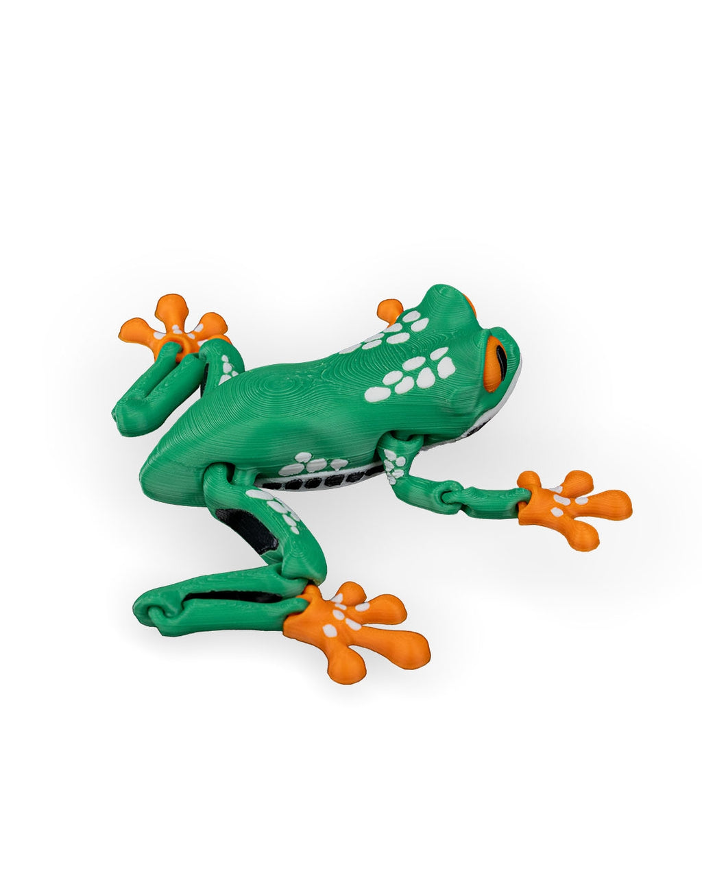 Reed the Red-Eyed Tree Frog – Articulated 3D Printed Display Figure