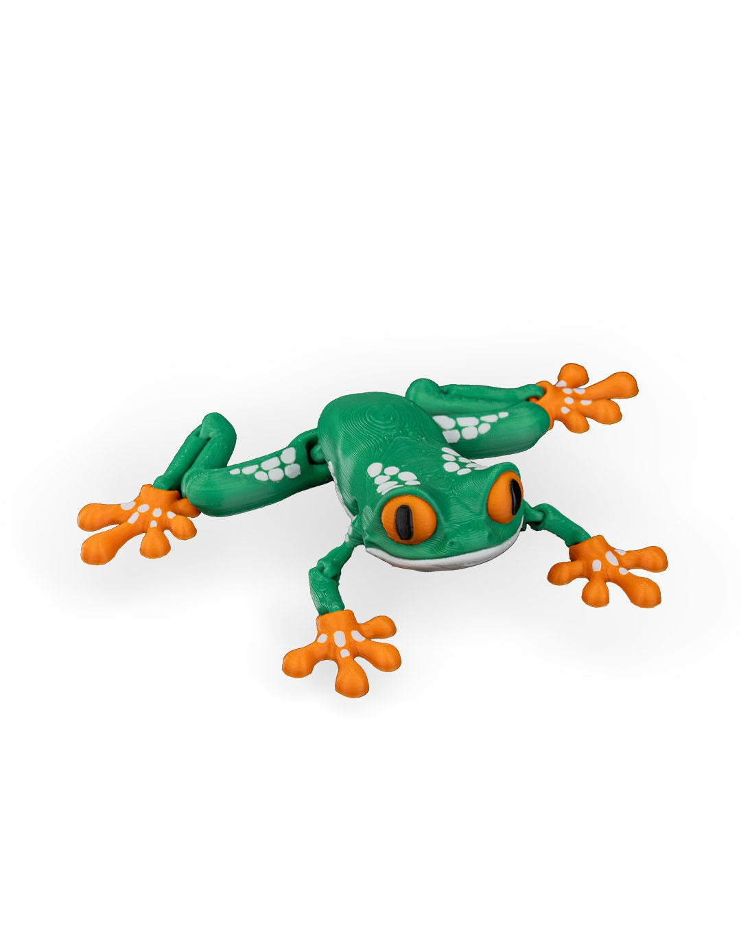 Reed the Red-Eyed Tree Frog – Articulated 3D Printed Display Figure