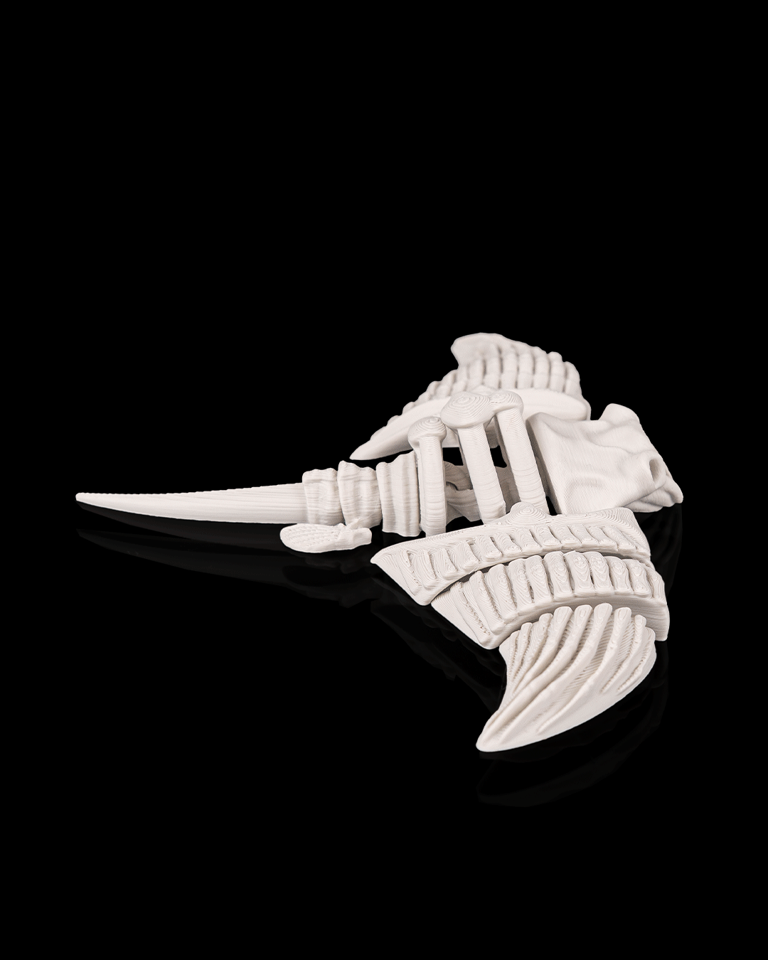 Skeleton Manta Ray – Articulated 3D Printed Display Figure