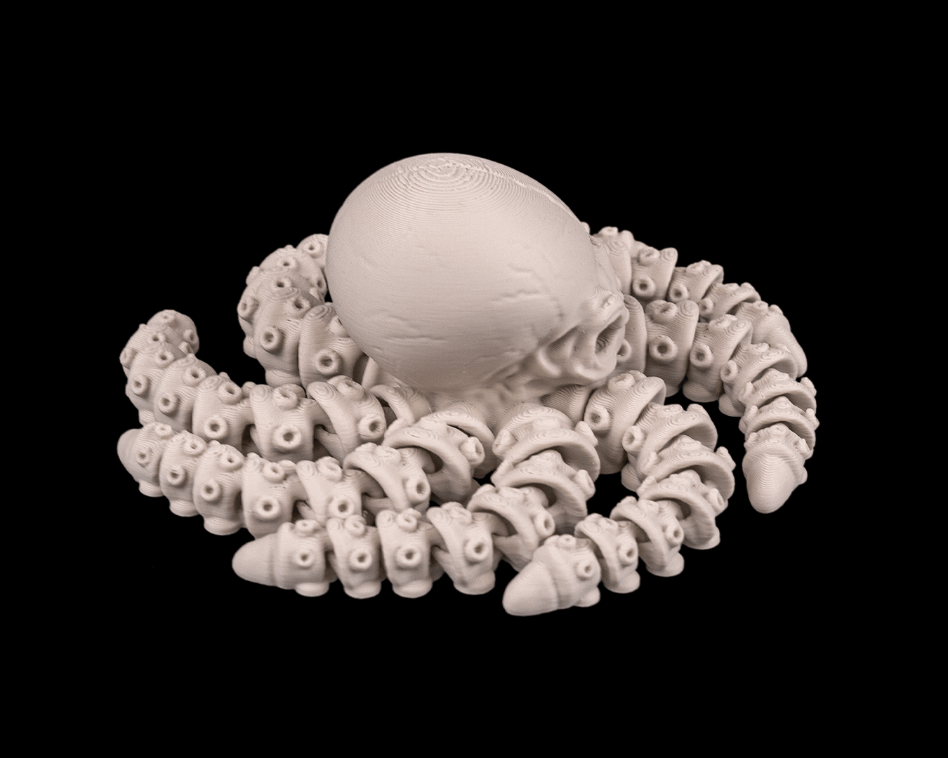 Skeleton Octopus – Articulated 3D Printed Display Figure