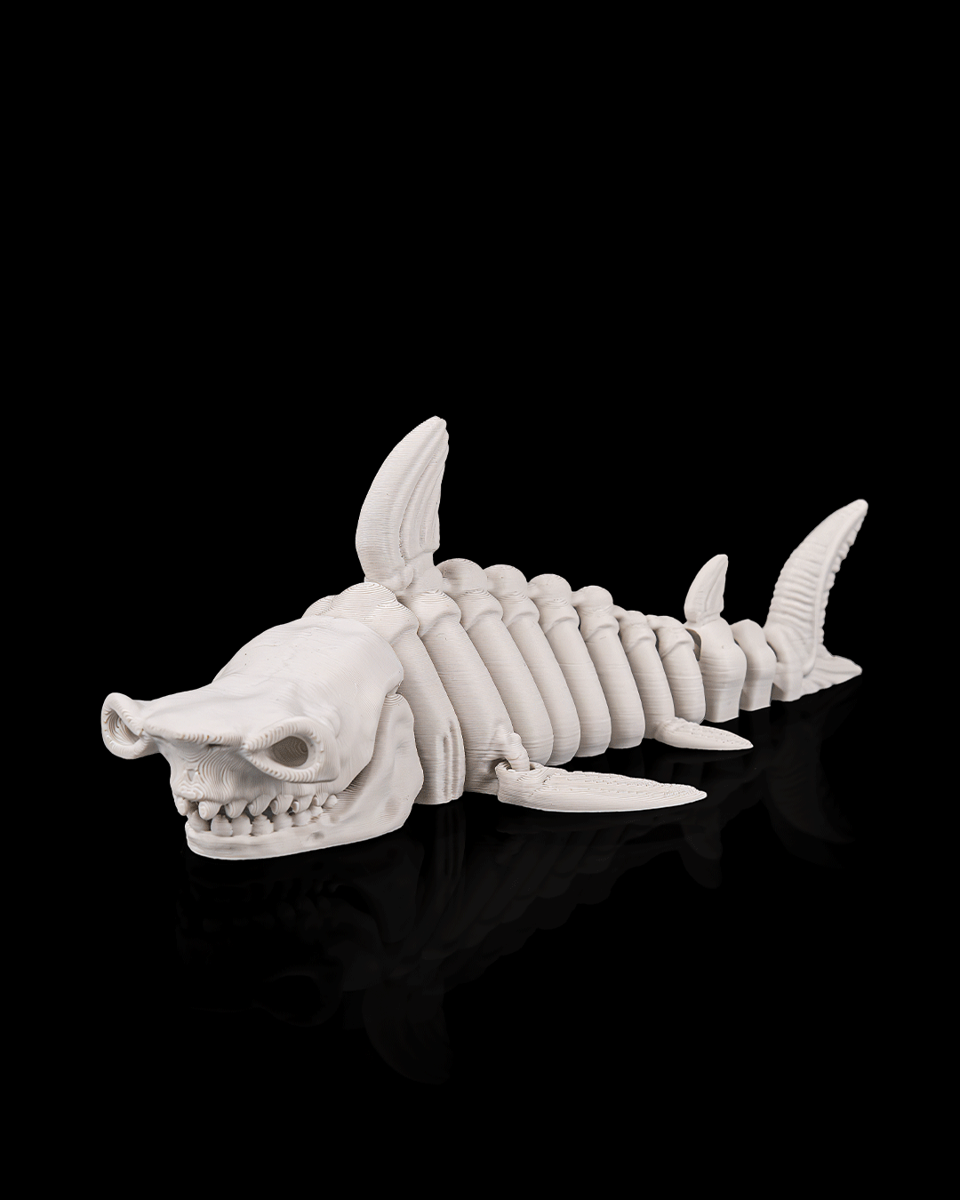 Skeleton Shark – Articulated 3D Printed Display Figure
