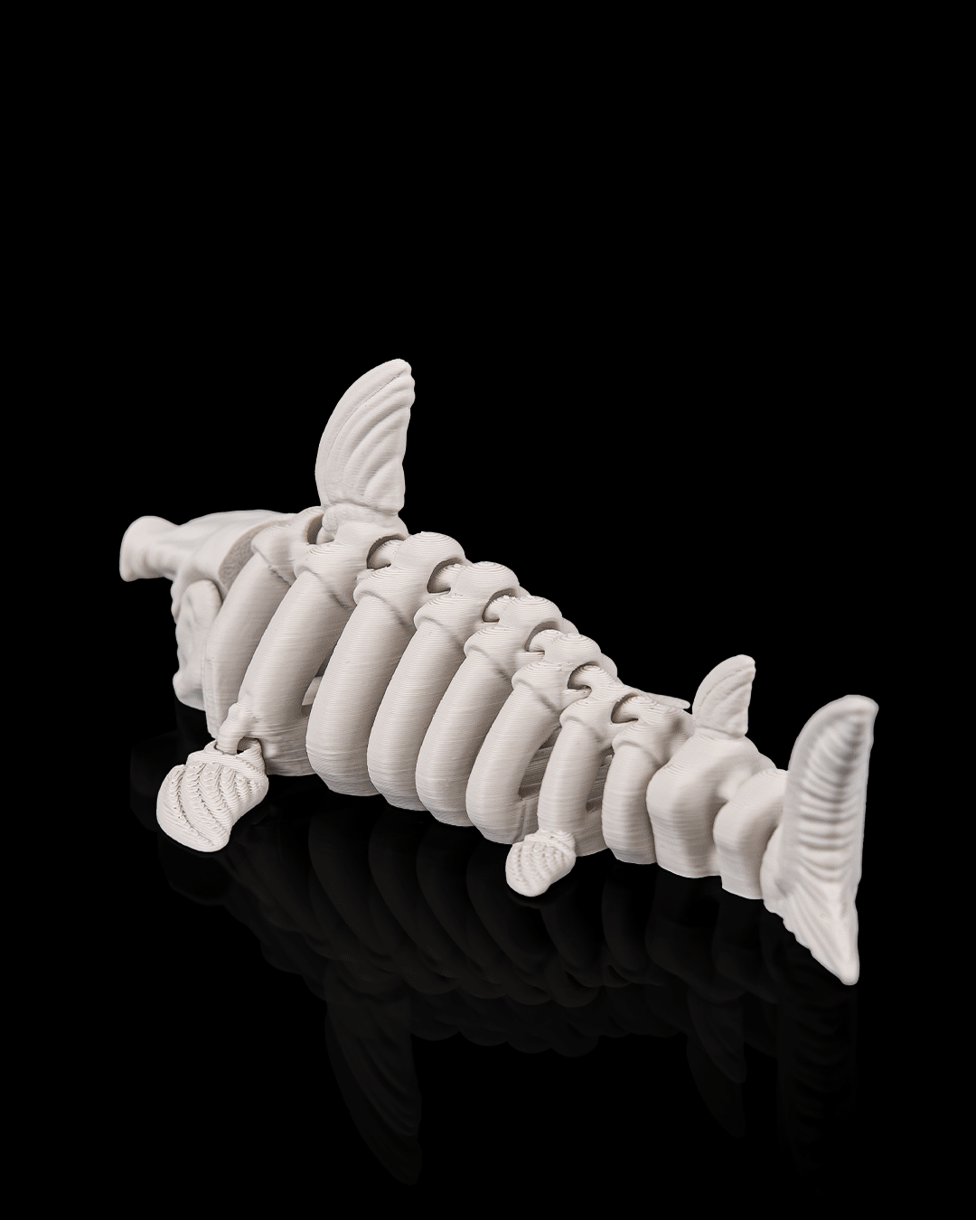 Skeleton Shark – Articulated 3D Printed Display Figure