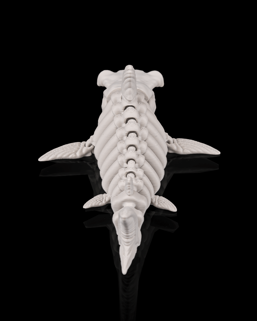 Skeleton Shark – Articulated 3D Printed Display Figure