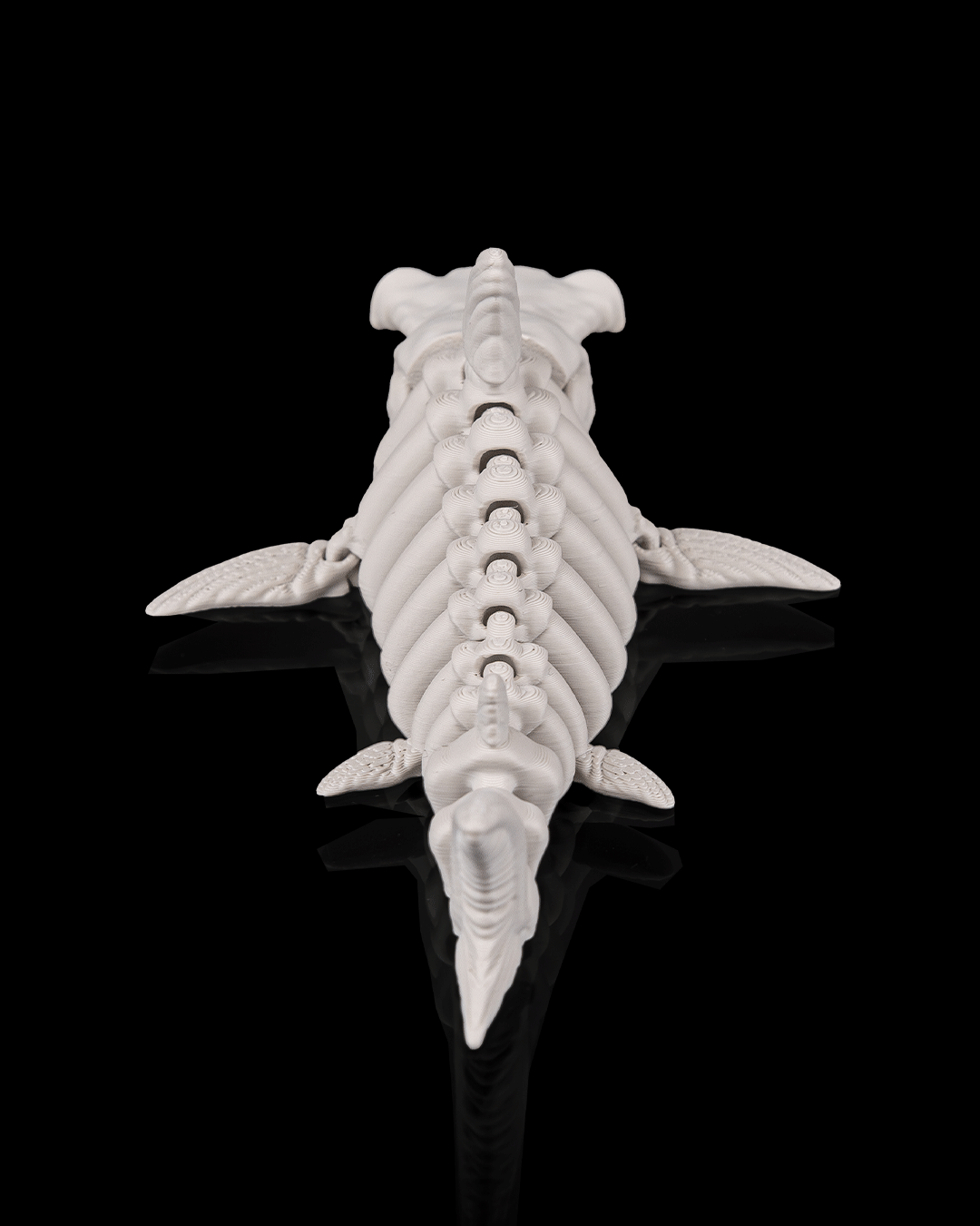 Skeleton Shark – Articulated 3D Printed Display Figure