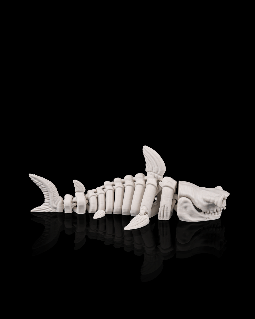 Skeleton Shark – Articulated 3D Printed Display Figure