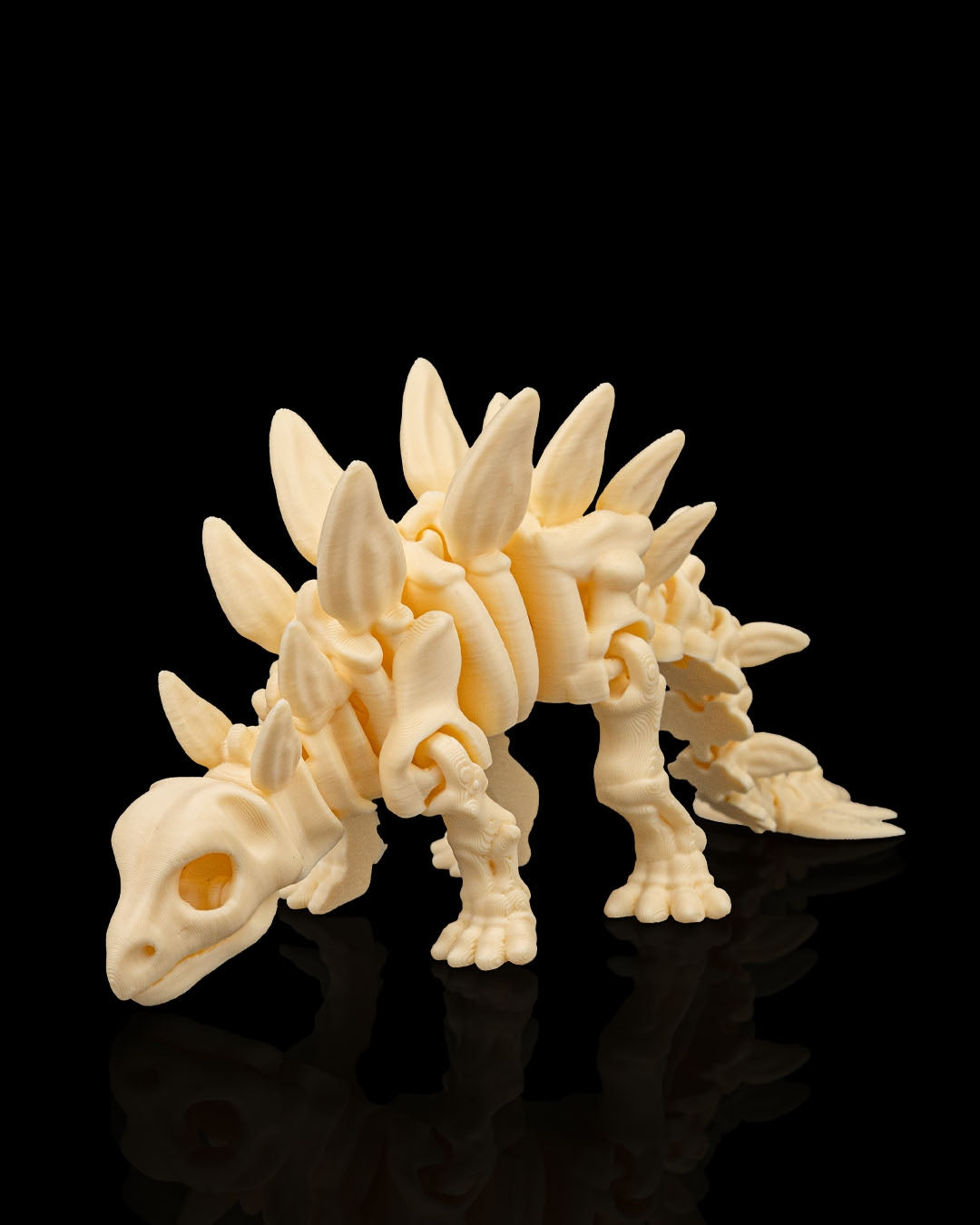 Skeleton Stegosaurus – Articulated 3D Printed Display Figure
