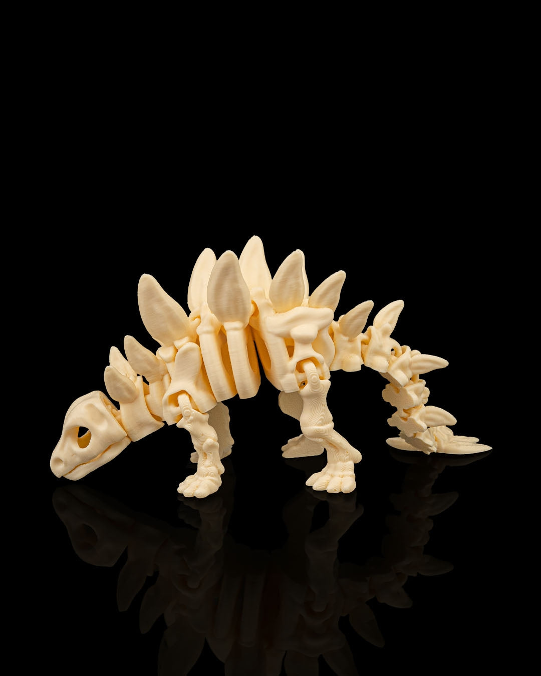 Skeleton Stegosaurus – Articulated 3D Printed Display Figure
