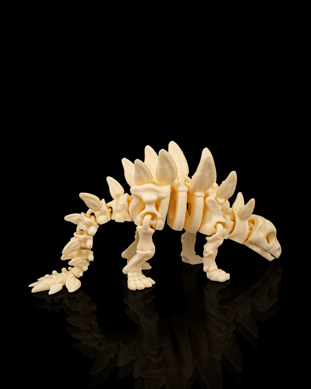 Skeleton Stegosaurus – Articulated 3D Printed Display Figure