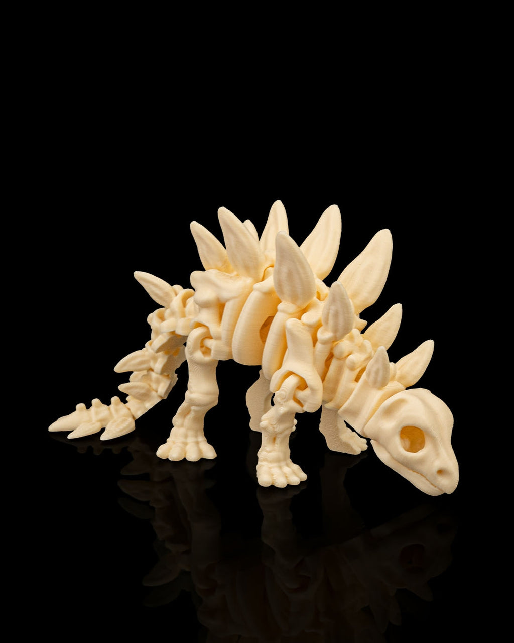Skeleton Stegosaurus – Articulated 3D Printed Display Figure