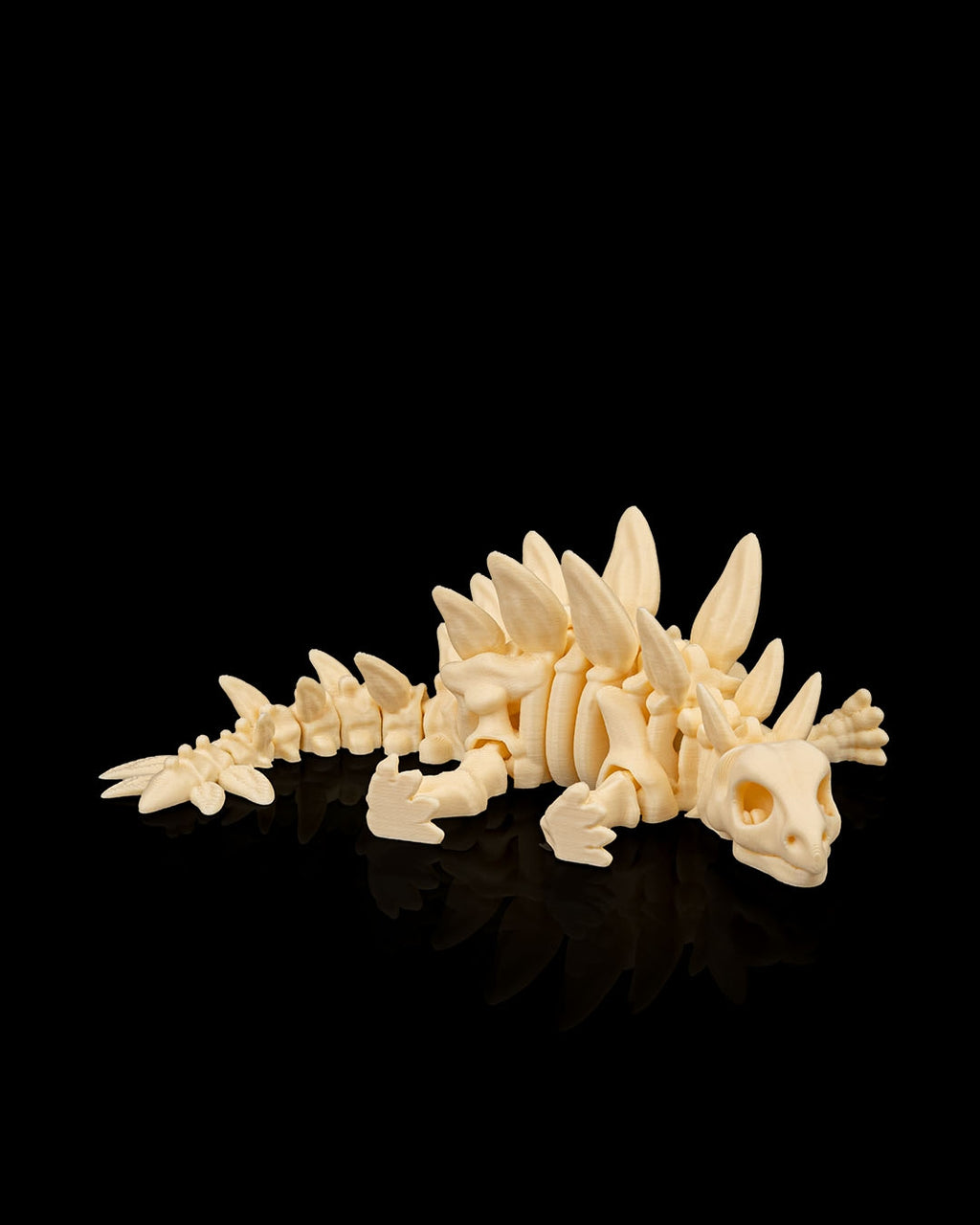 Skeleton Stegosaurus – Articulated 3D Printed Display Figure
