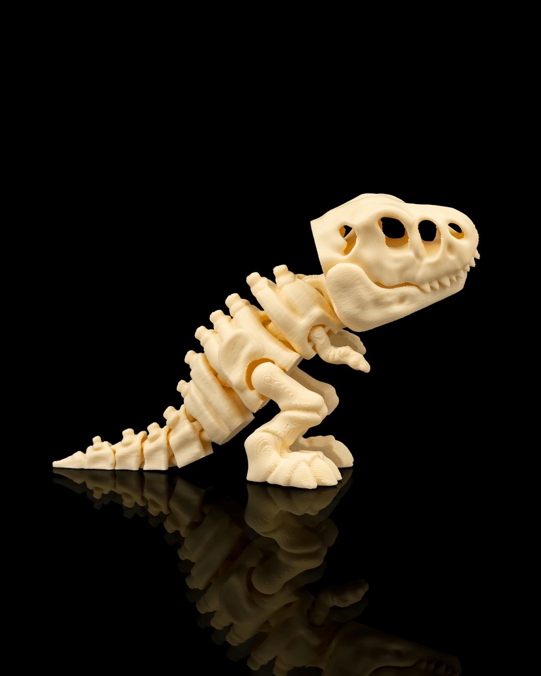 Skeleton T-Rex – Articulated 3D Printed Display Figure