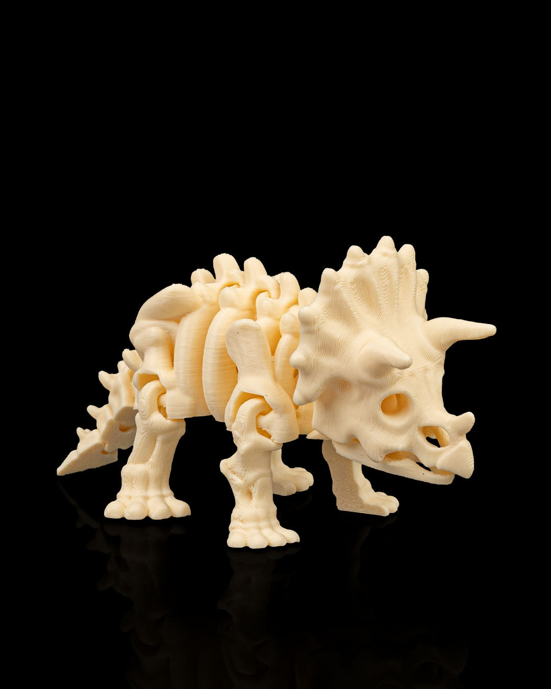 Skeleton Triceratops – 3D Printed Display Figure