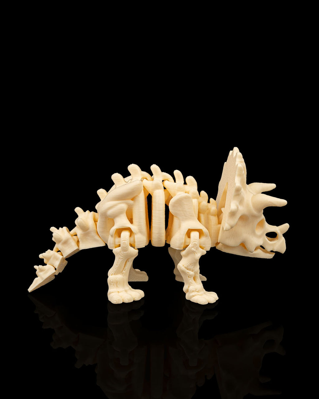 Skeleton Triceratops – 3D Printed Display Figure