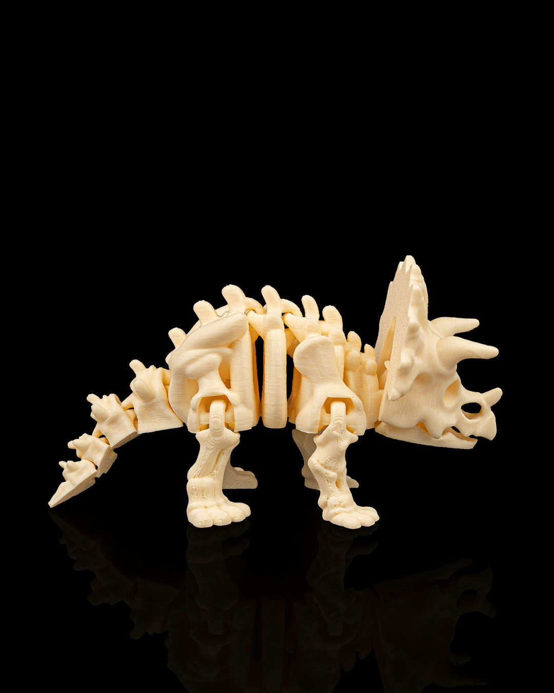 Skeleton Triceratops – 3D Printed Display Figure