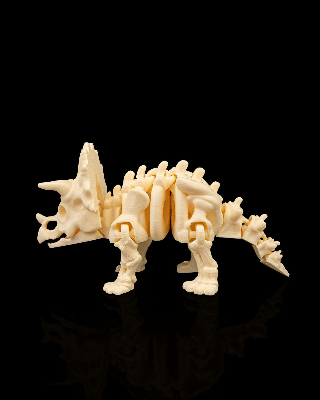 Skeleton Triceratops – 3D Printed Display Figure