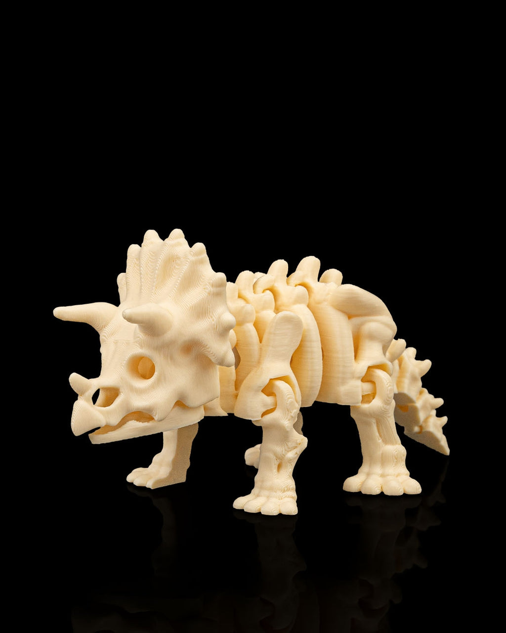 Skeleton Triceratops – 3D Printed Display Figure