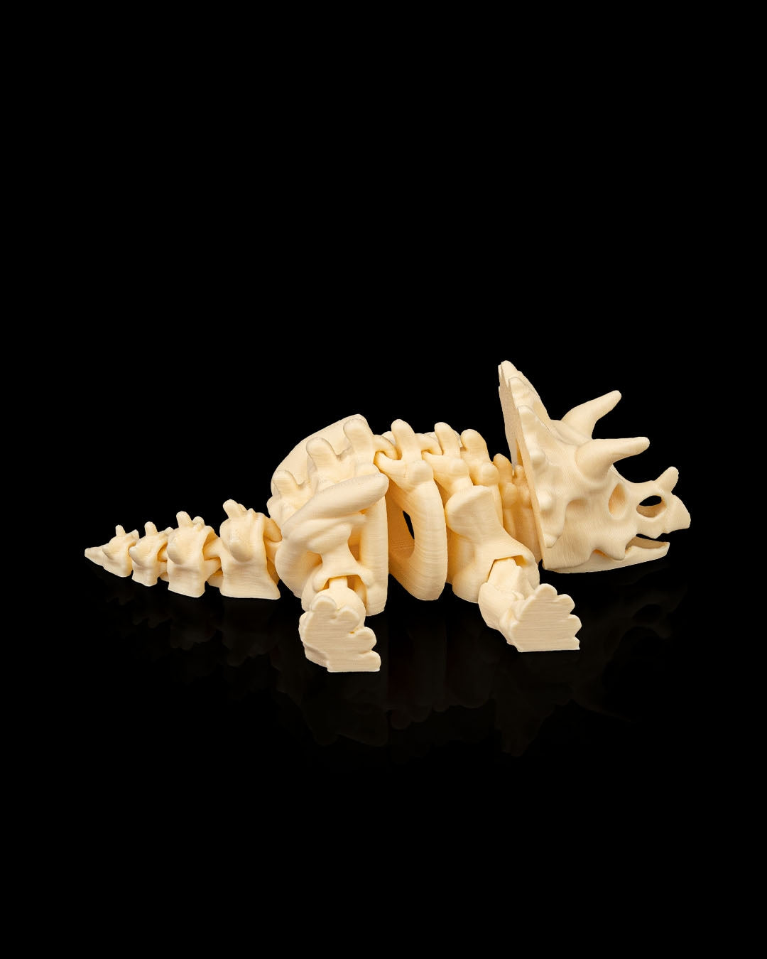 Skeleton Triceratops – 3D Printed Display Figure