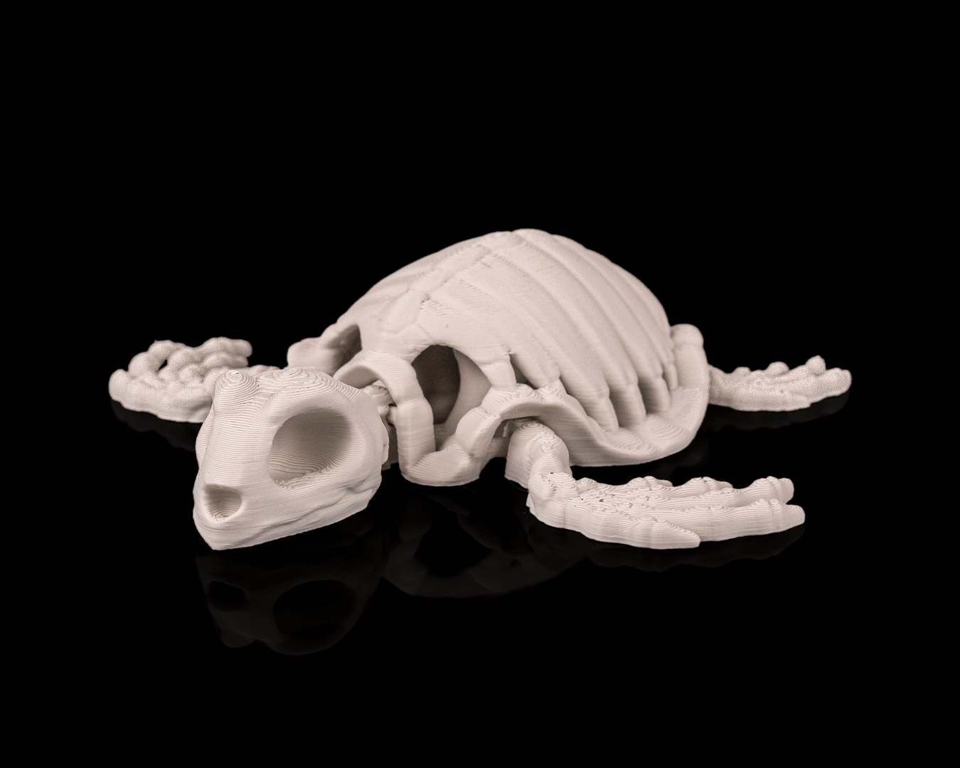 Skeleton Turtle – Articulated 3D Printed Display Figure