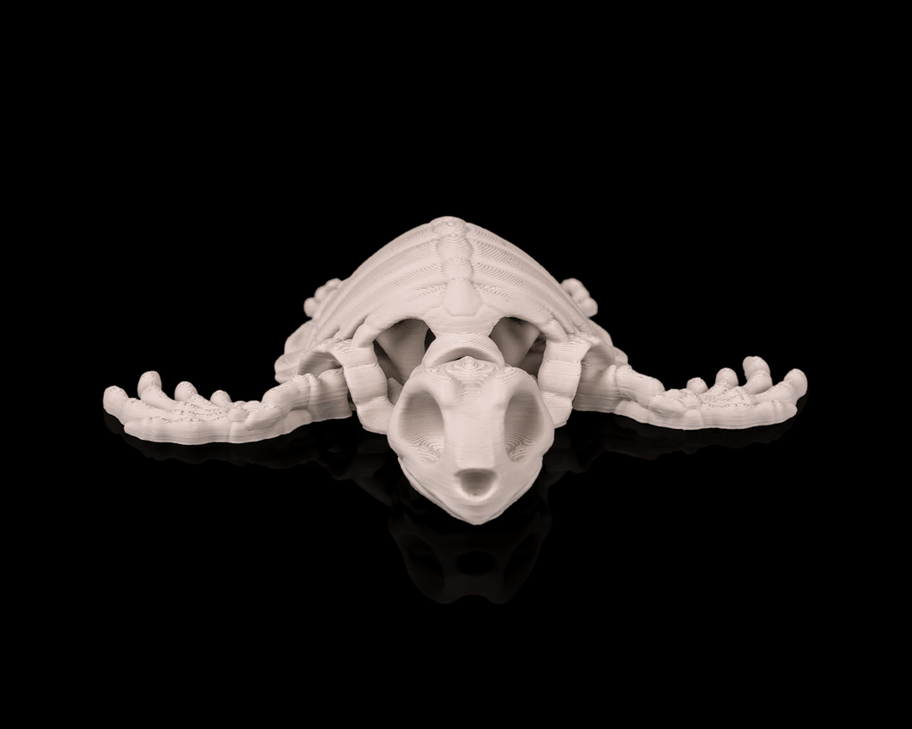 Skeleton Turtle – Articulated 3D Printed Display Figure