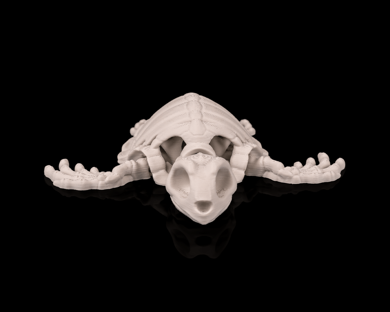 Skeleton Turtle – Articulated 3D Printed Display Figure