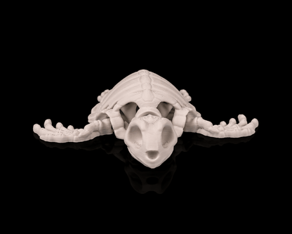 Skeleton Turtle – Articulated 3D Printed Display Figure