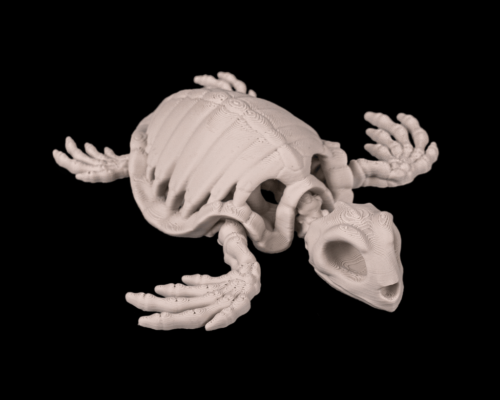 Skeleton Turtle – Articulated 3D Printed Display Figure