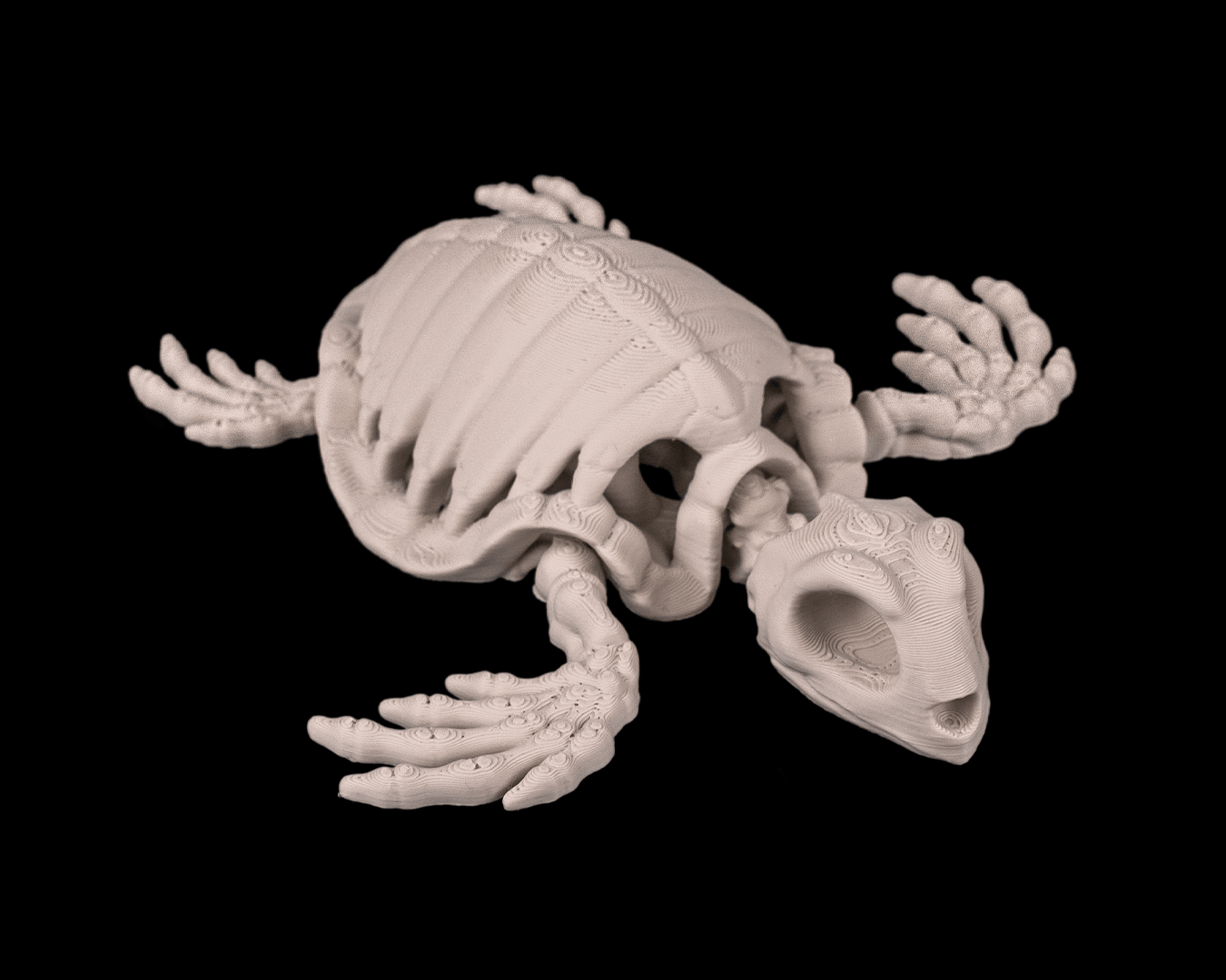 Skeleton Turtle – Articulated 3D Printed Display Figure